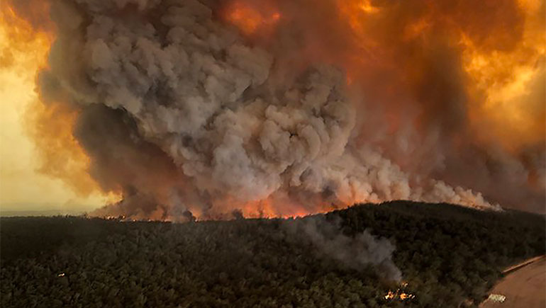 Partnering to deliver critical medicines through bushfires and COVID-19