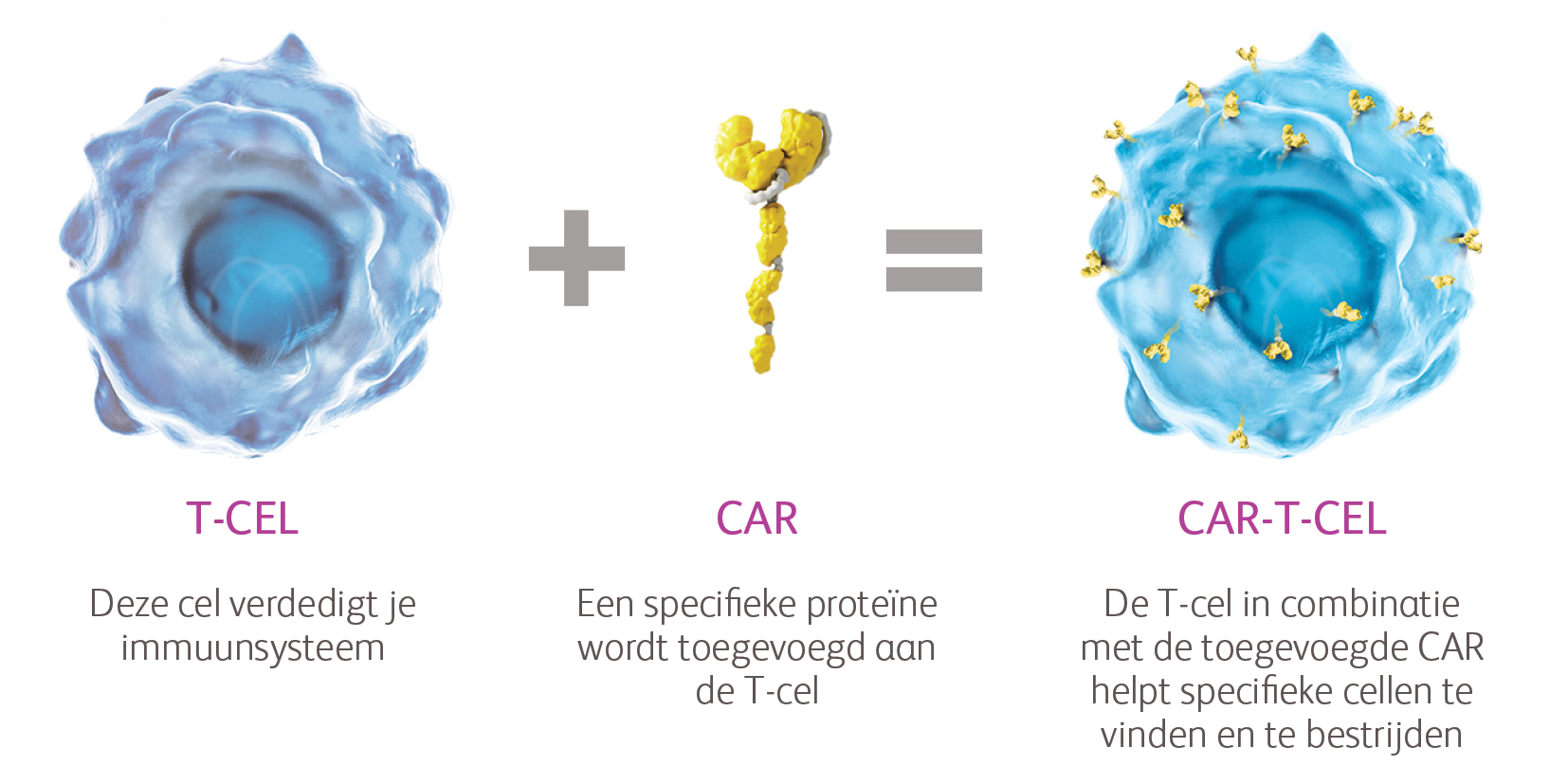 CAR-T factsheet