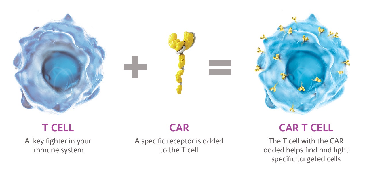CAR-T factsheet