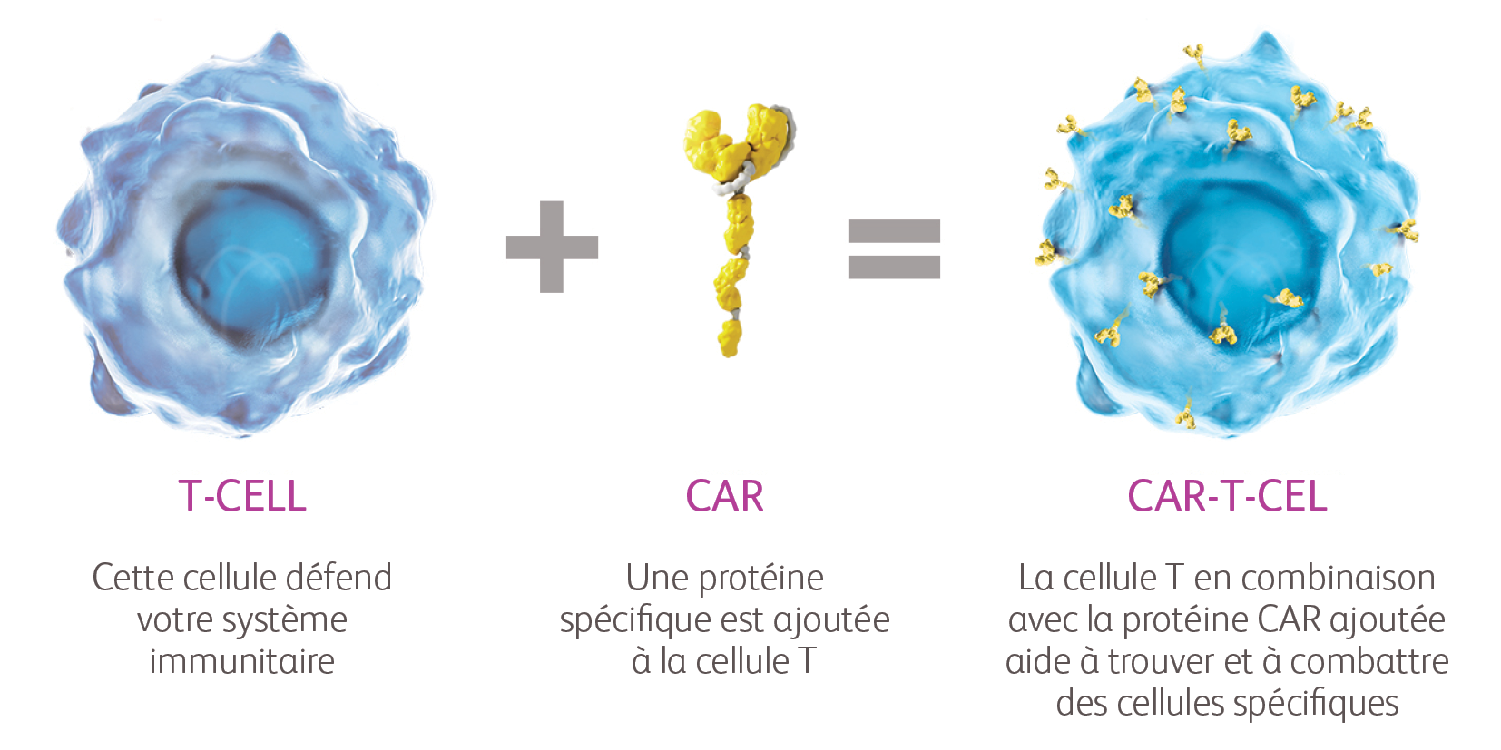 CAR-T factsheet