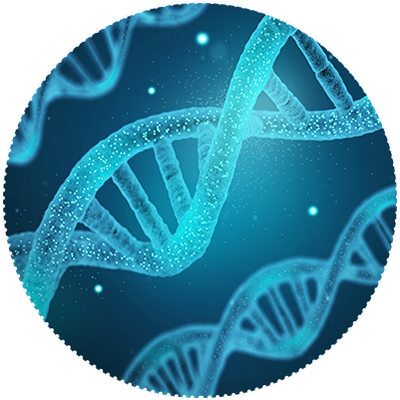 Genome Genome