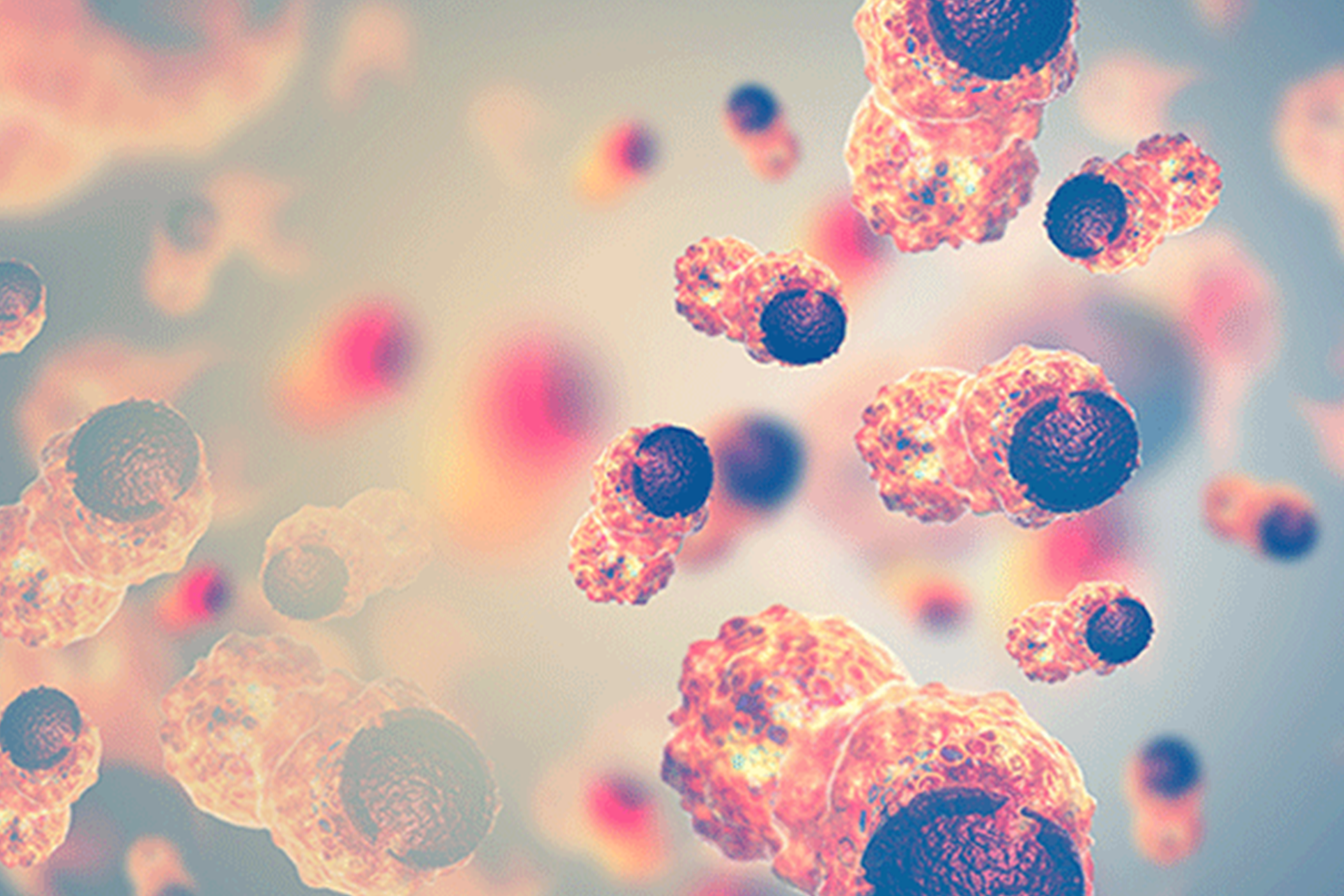 Cancer cells