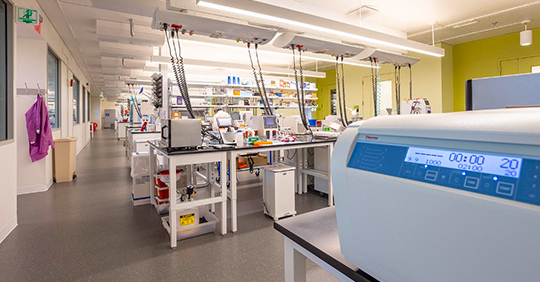L’innovazione prende il volo con gli incubatori e le nuove strategie