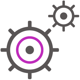 Cross-Functional Operations