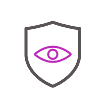 shield icon