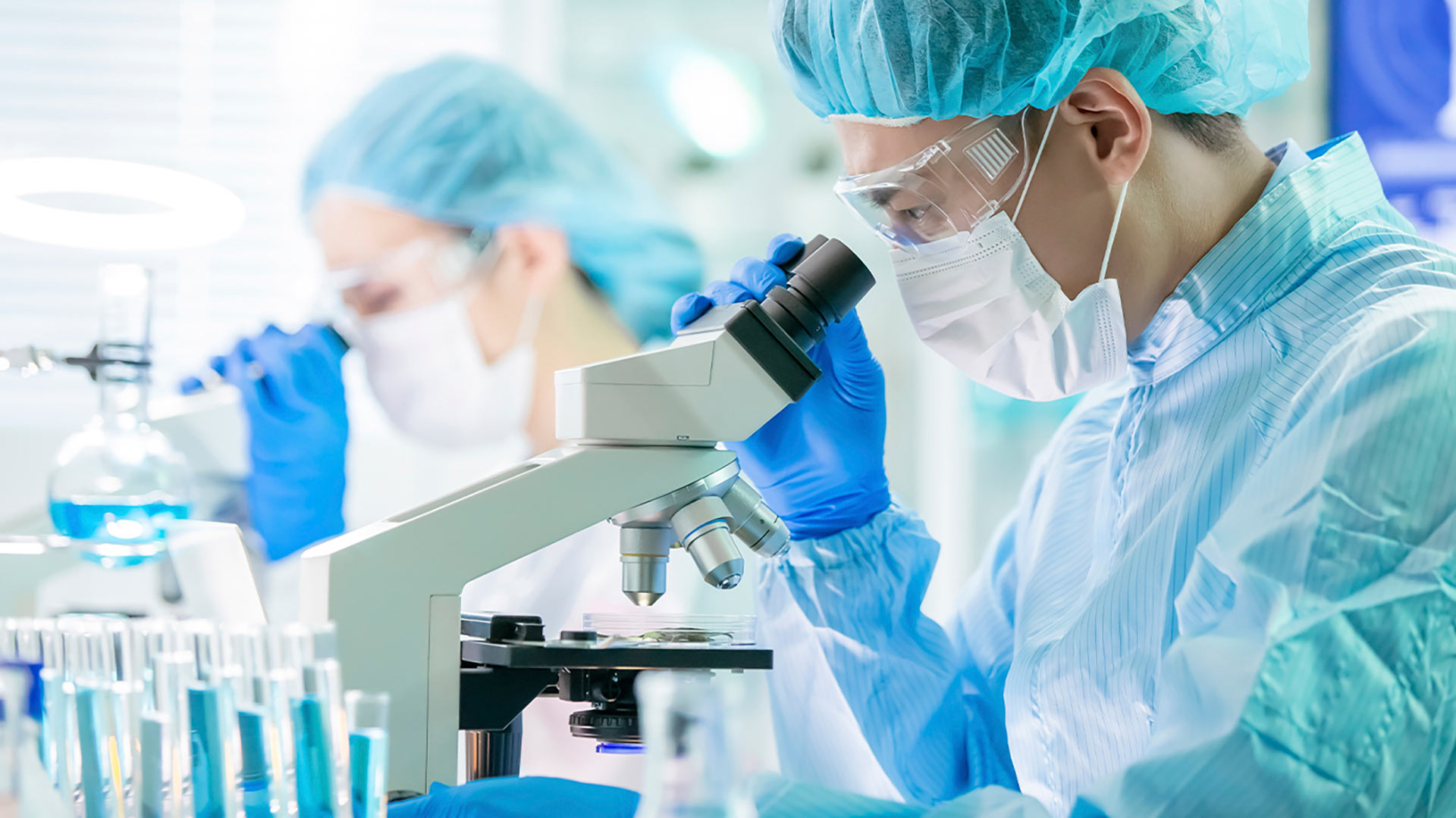 A look inside: Accelerating neuroscience research with neuroimaging