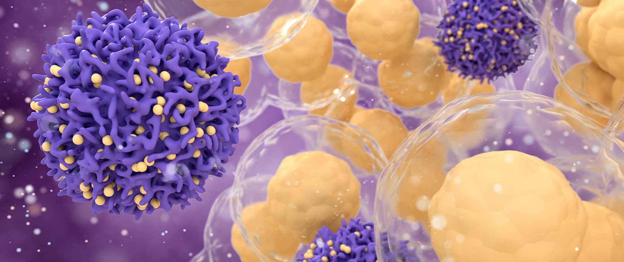 Untangling the complexities of cancer