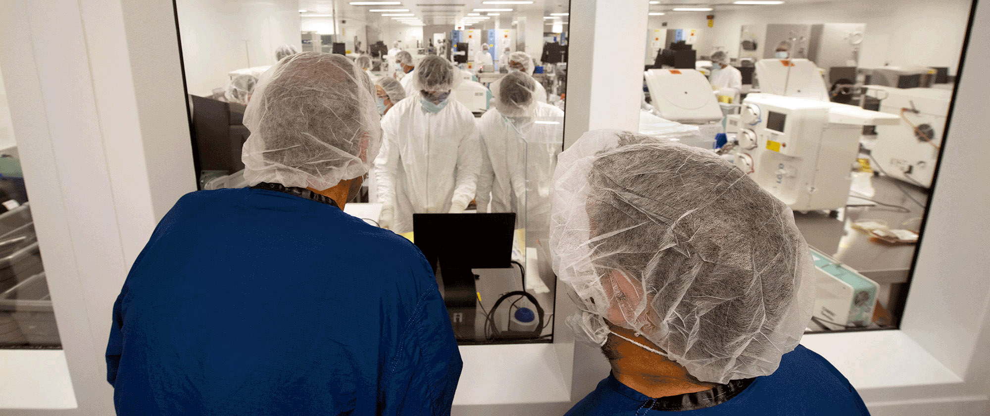 What's the future of cell therapy at BMS?