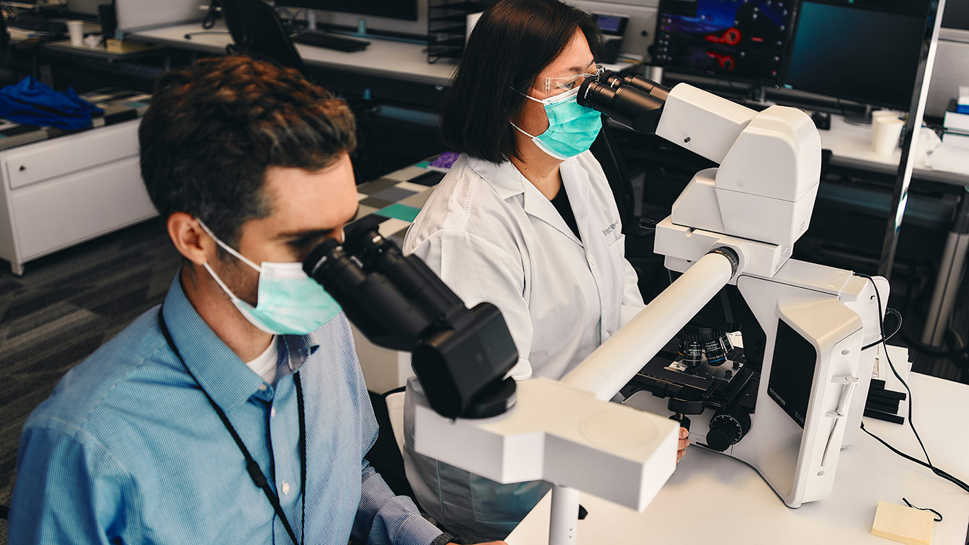 Healthcare researchers conducting genetic sequencing
