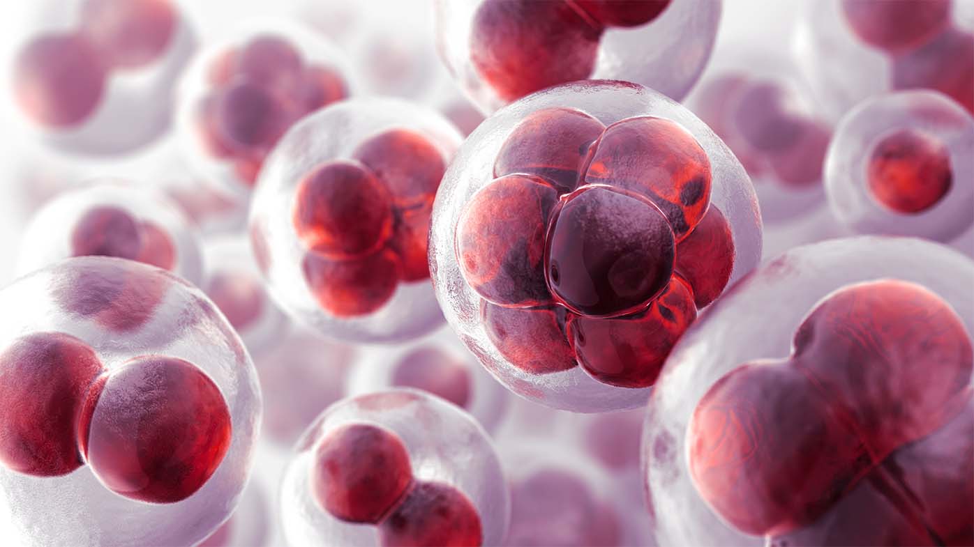 Cell Theraphy