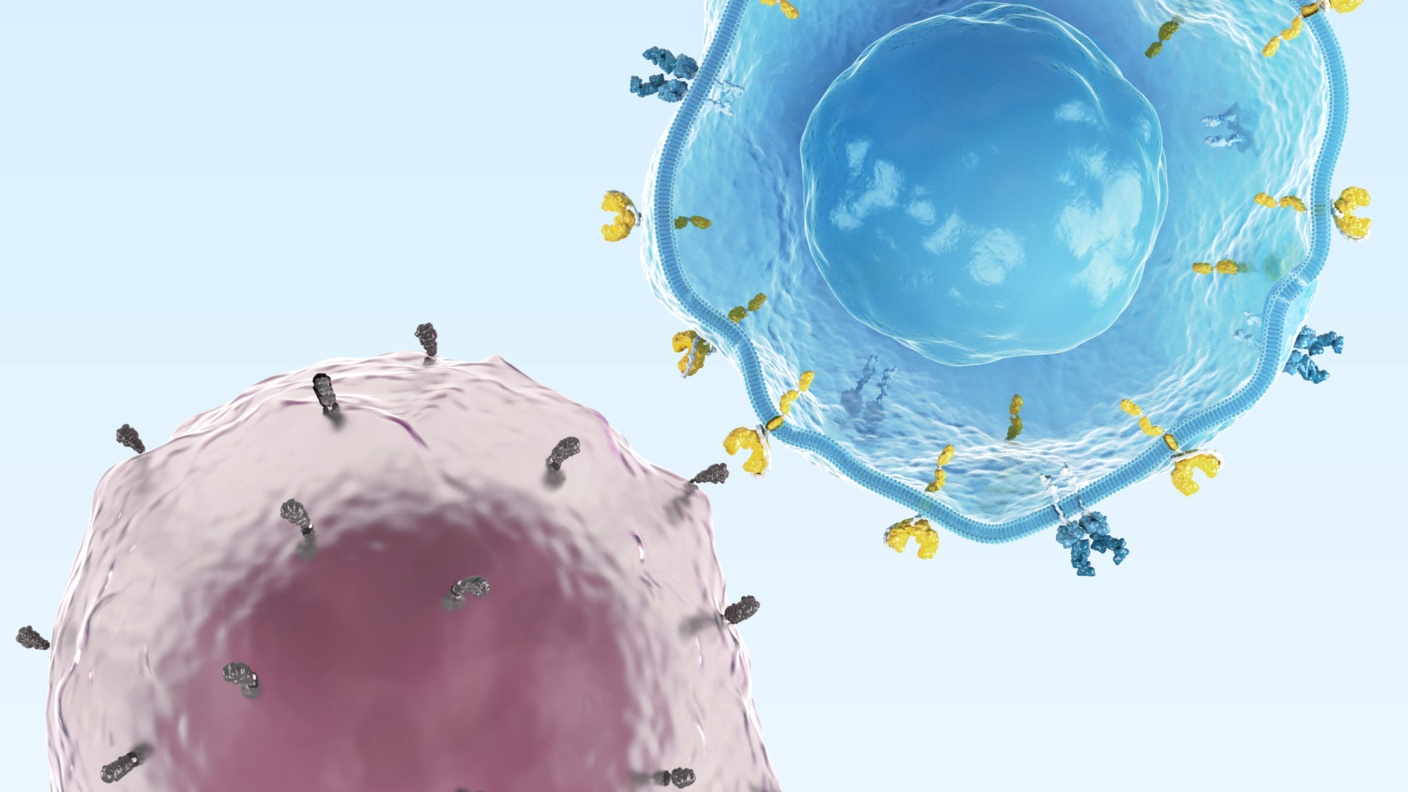 Today's cell therapy insights shaping tomorrow