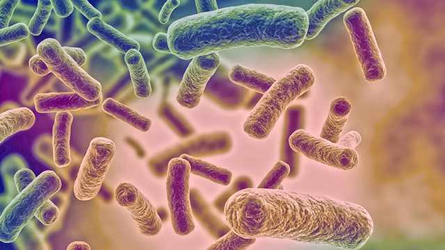 El microbioma intestinal y el tratamiento contra el cáncer
