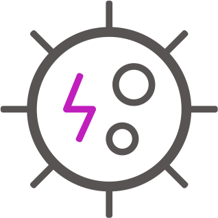 icon1