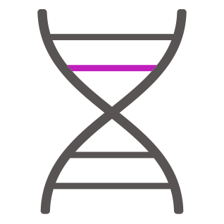 icon1