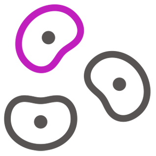 icon1