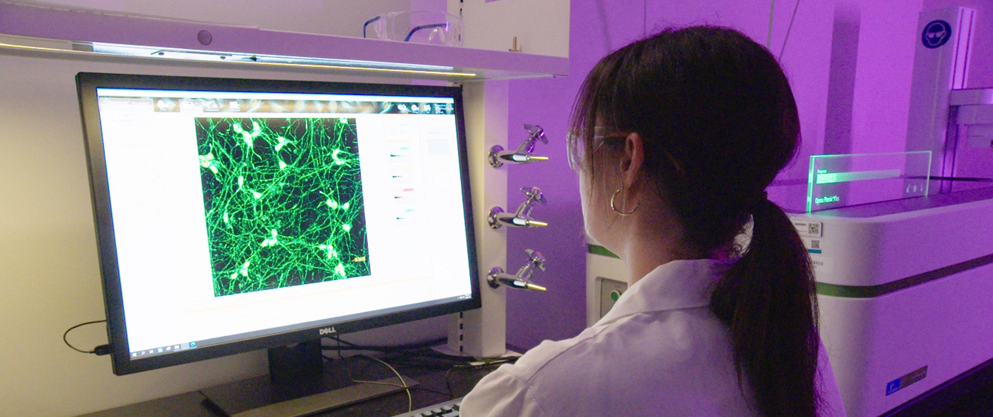 Female scientist in lab viewing computer screen