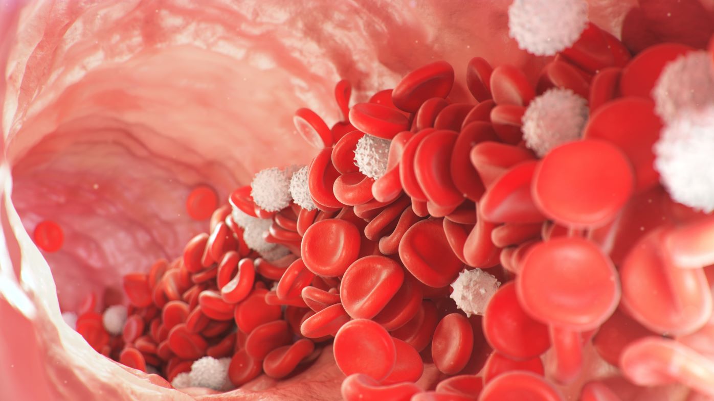 Blood cells