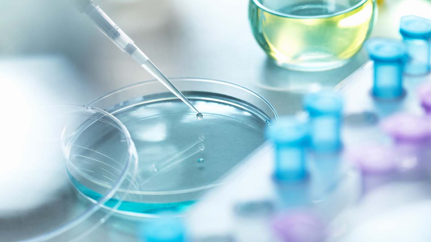 My front row seat to the revolution in immune checkpoint inhibition