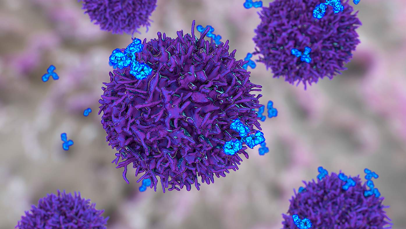 Scientific visualization of B cells and antibodies through a microscope